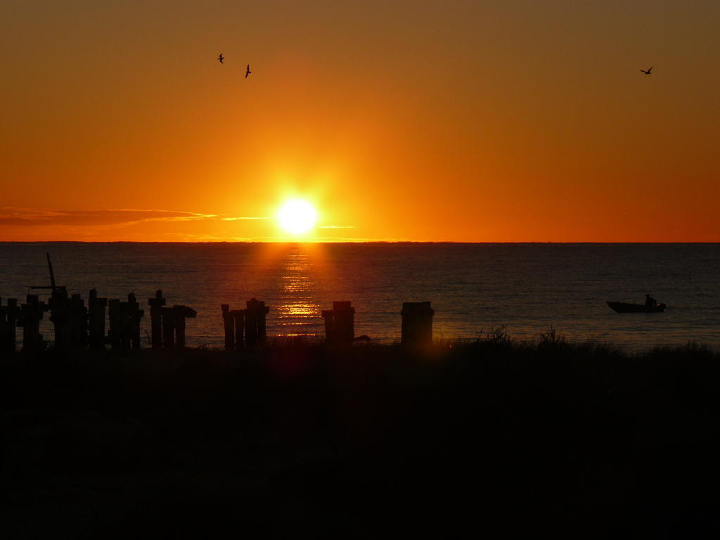 فندق Jurien Bay Tourist Park المظهر الخارجي الصورة